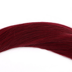 Straight Human Hair #99J  Tape In (20pcs/50grams)